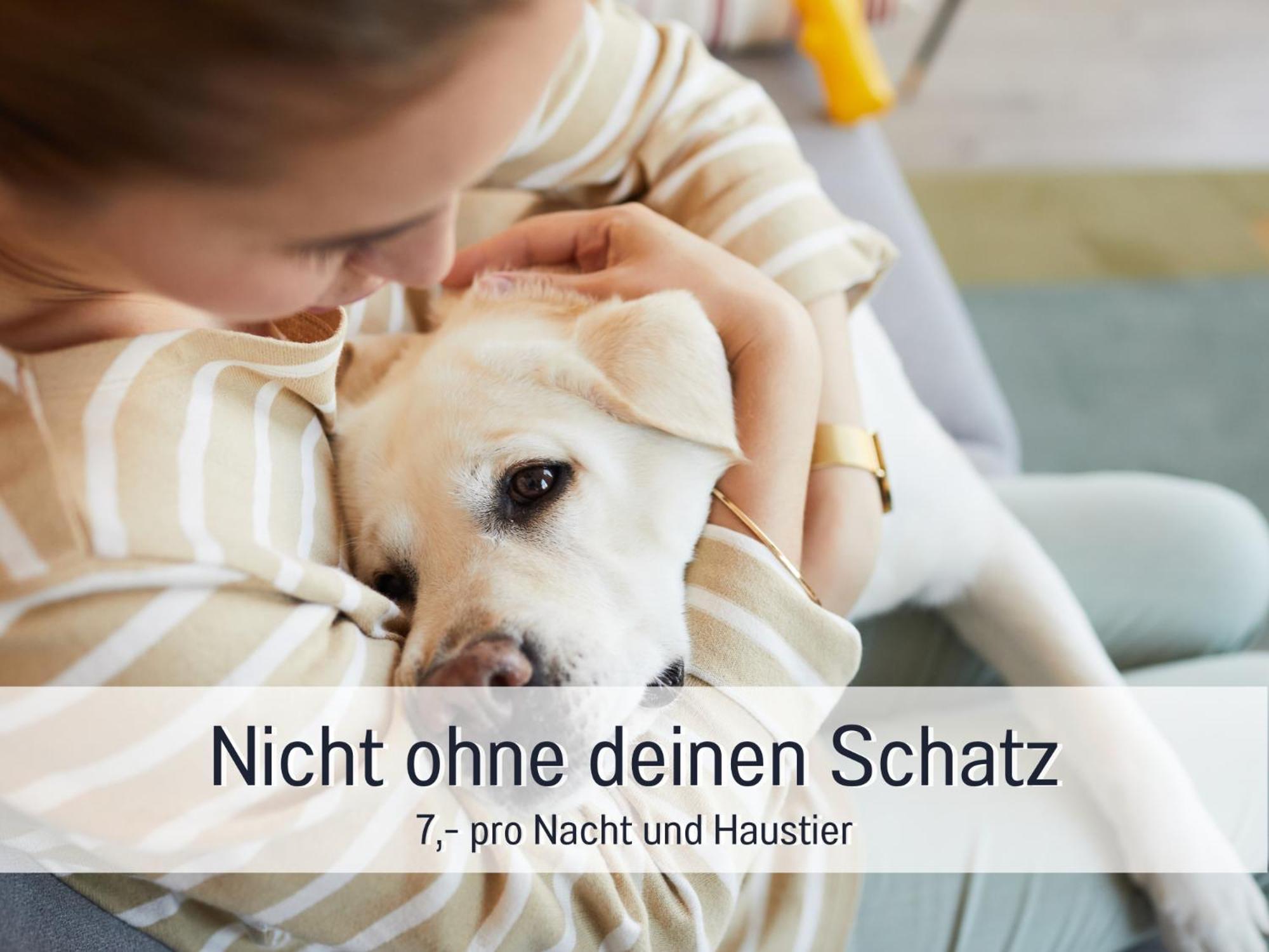 Ferienloft Sternenblick - Strandnah, Haustierfreundlich, Tolle Kueche, Optimal Fuer Workation, 4 Personen 스타인베르크 외부 사진