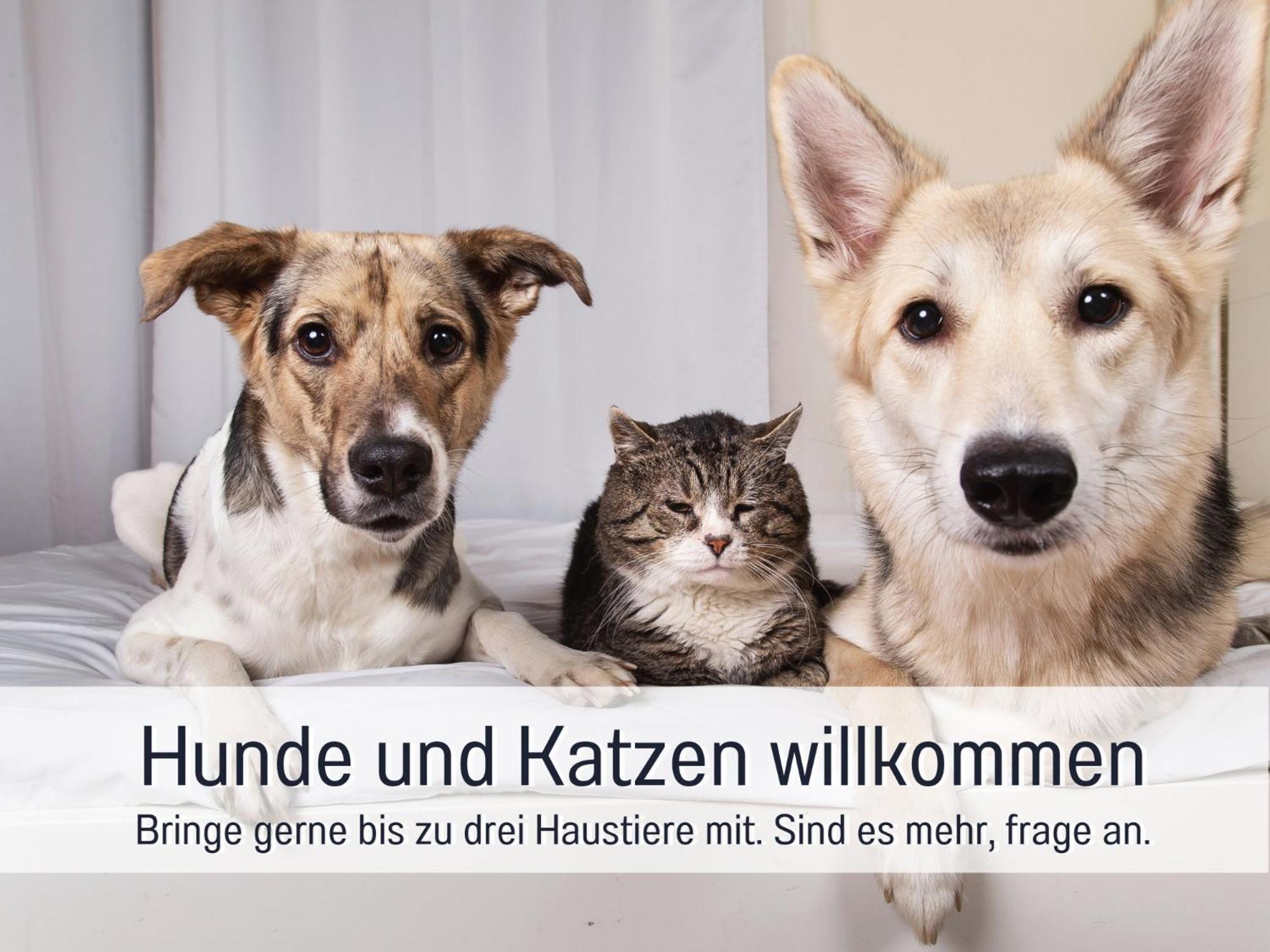 Ferienloft Sternenblick - Strandnah, Haustierfreundlich, Tolle Kueche, Optimal Fuer Workation, 4 Personen 스타인베르크 외부 사진