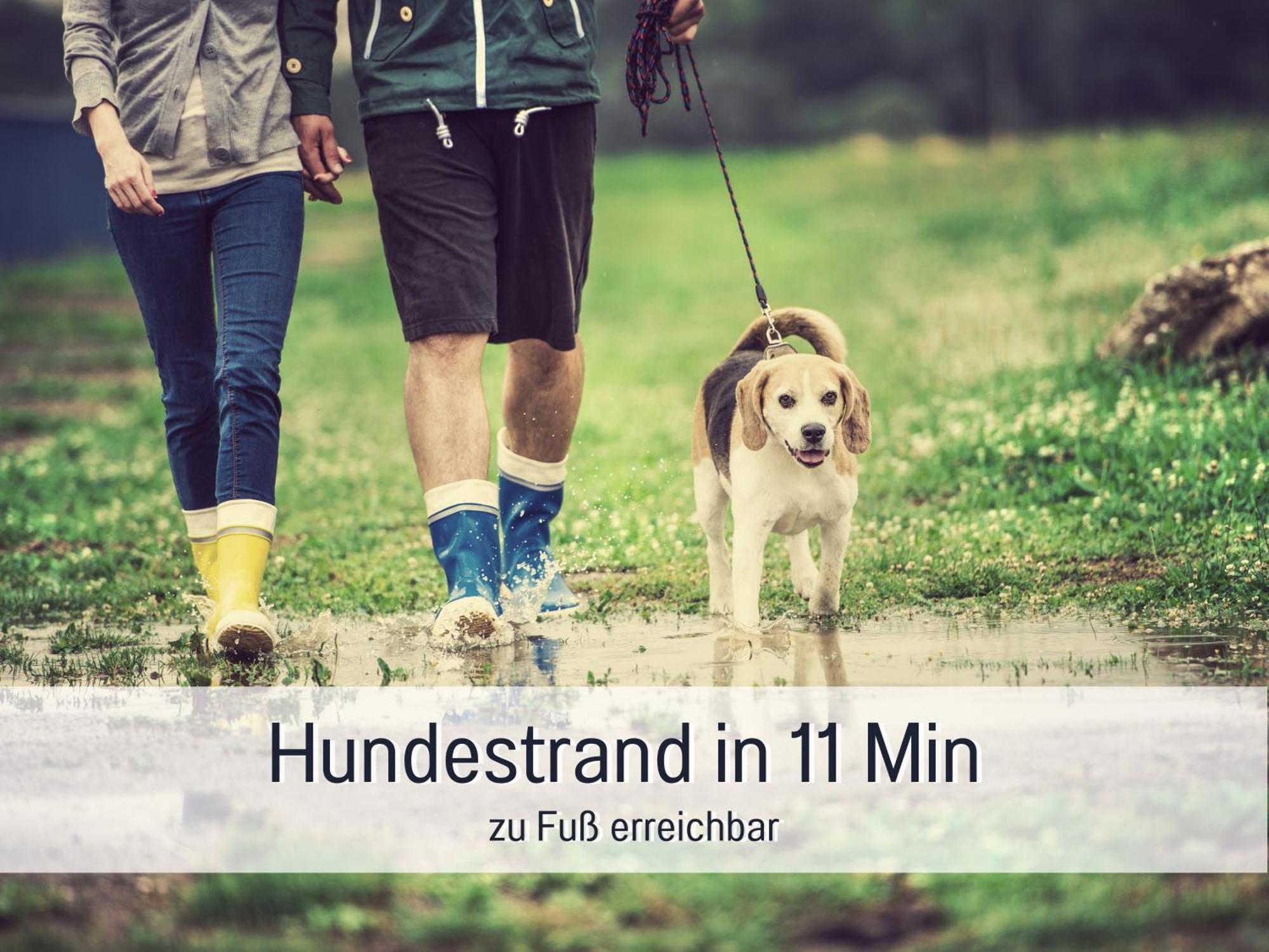 Ferienloft Sternenblick - Strandnah, Haustierfreundlich, Tolle Kueche, Optimal Fuer Workation, 4 Personen 스타인베르크 외부 사진