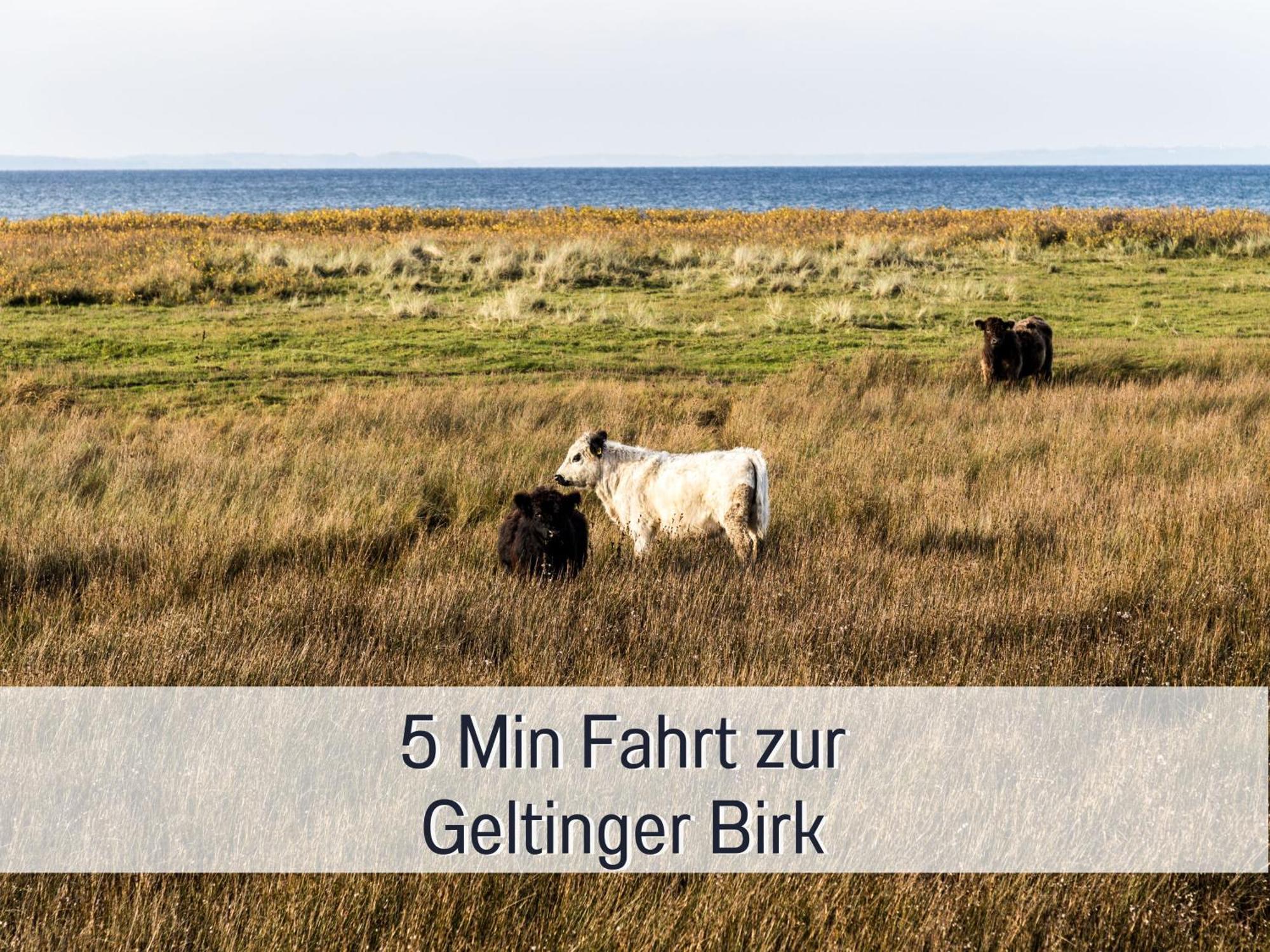 Ferienloft Sternenblick - Strandnah, Haustierfreundlich, Tolle Kueche, Optimal Fuer Workation, 4 Personen 스타인베르크 외부 사진